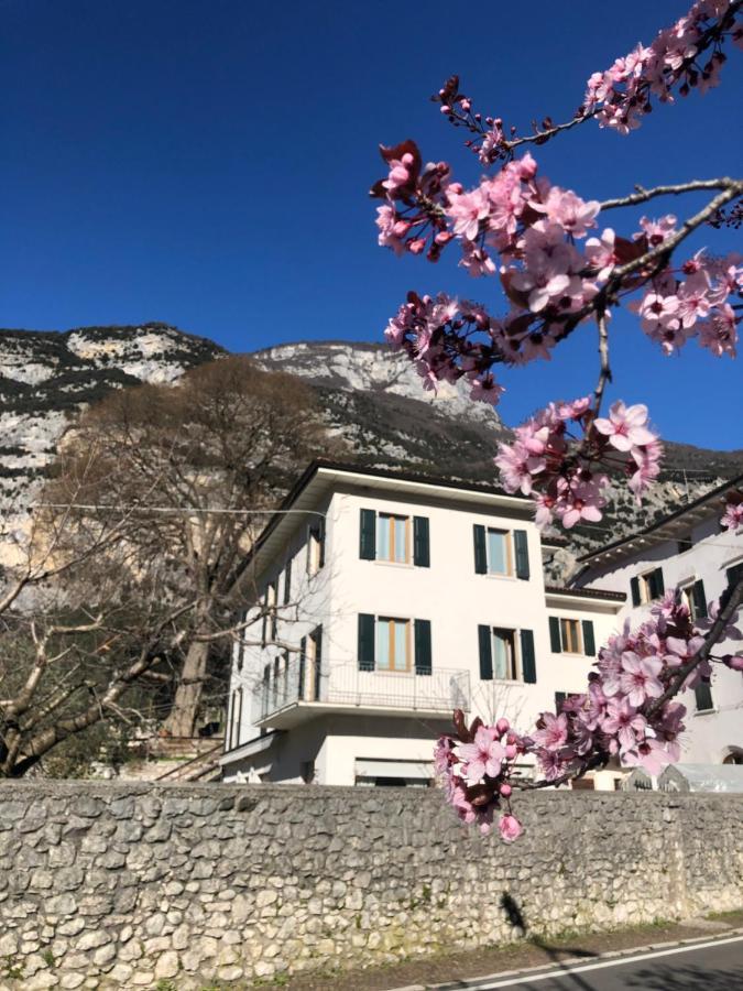 Hotel Garni Delle Rose Сенига Экстерьер фото