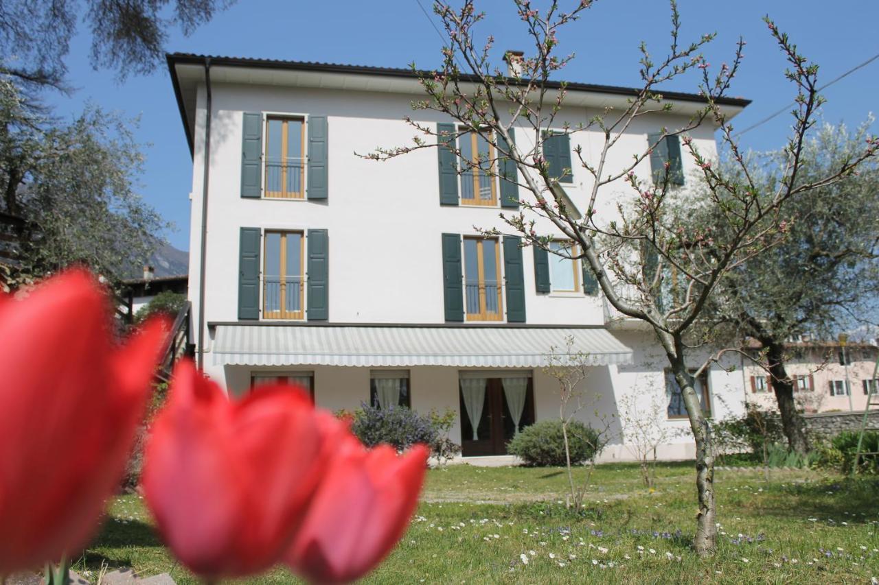 Hotel Garni Delle Rose Сенига Экстерьер фото