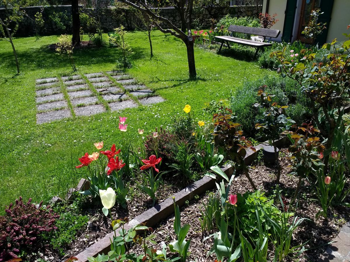 Hotel Garni Delle Rose Сенига Экстерьер фото